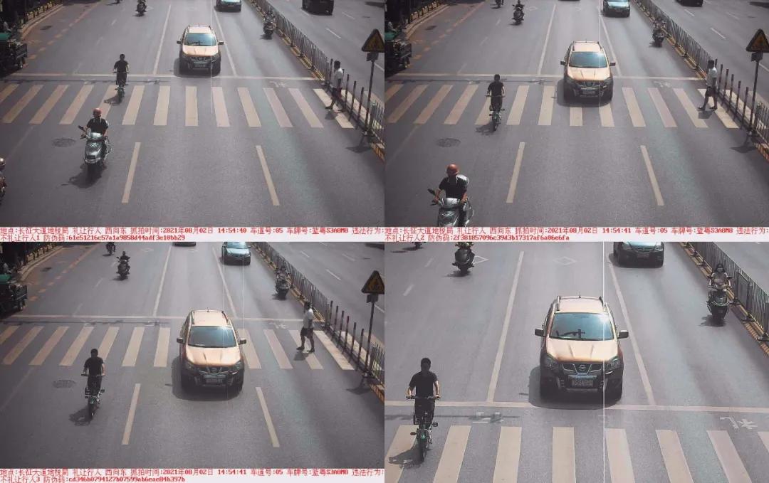 于都礼让行人上哪里举报,于都五中不礼让行人抓拍