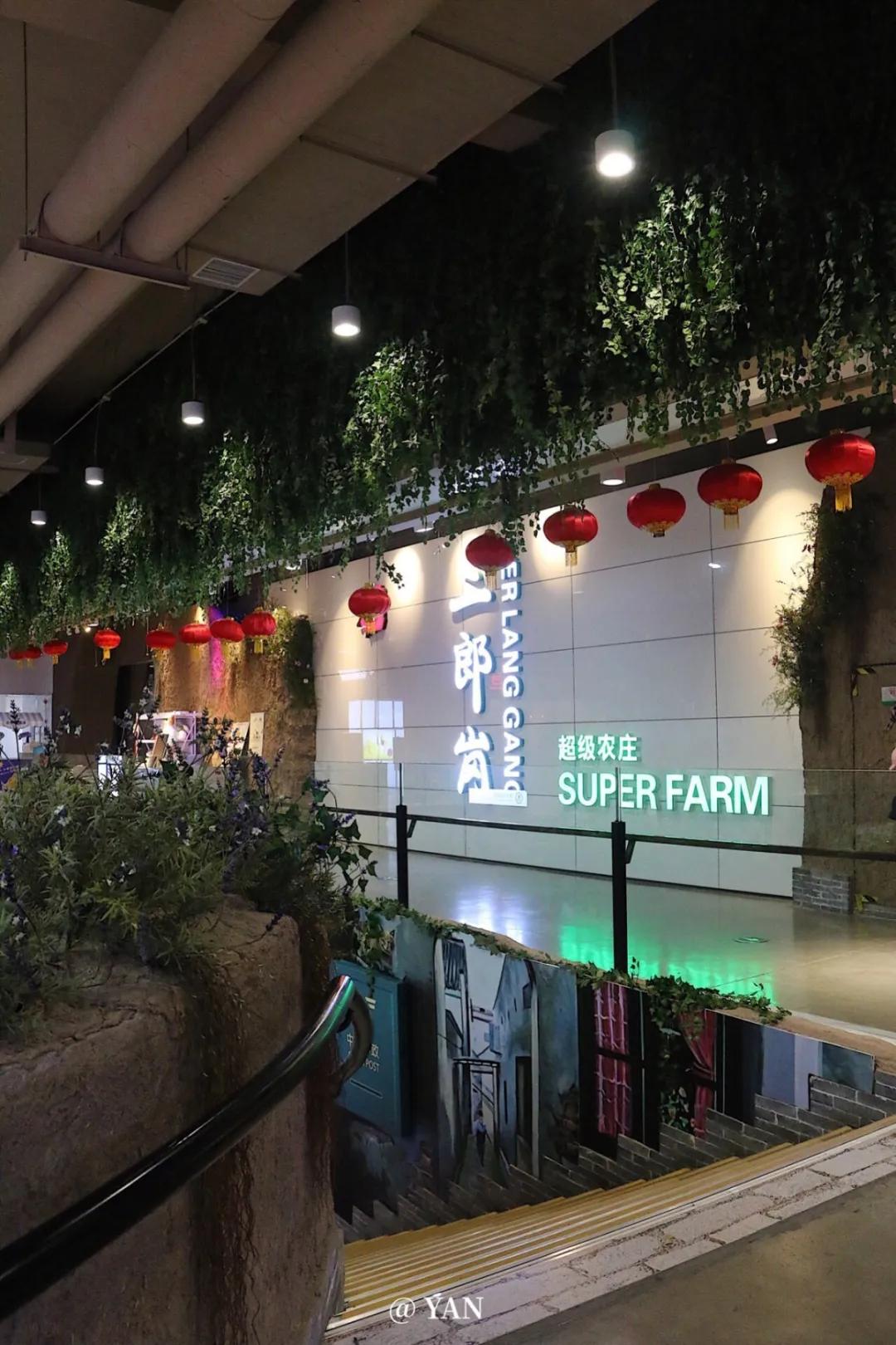 三日连逛三家奥莱,上海三个奥莱的特点