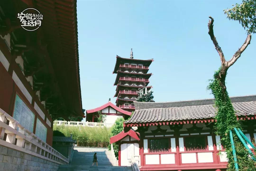 2022合肥必去的13个免费景点,合肥一日游景点推荐排名最新