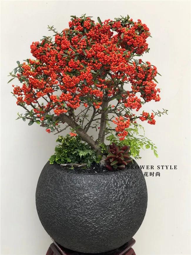 这家不足50㎡的花店，年营业额竟达300多万，被称“花痴”的他是怎么做到的？