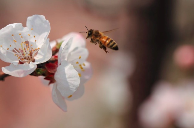 他连考十多次进士未中，写下一首诗抱怨不平，却成千古名作