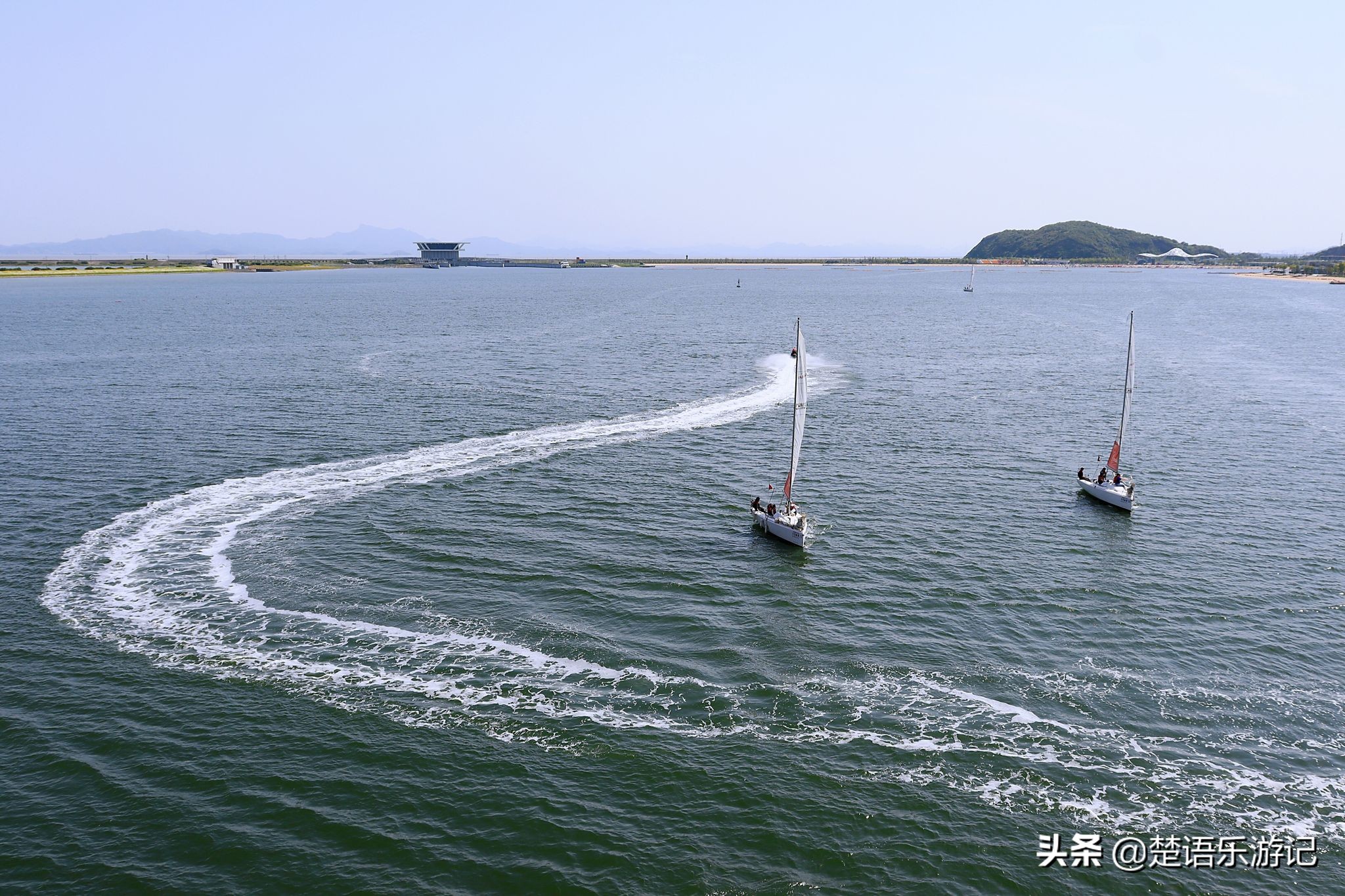 宁波大闸桥花海,宁波风景花海