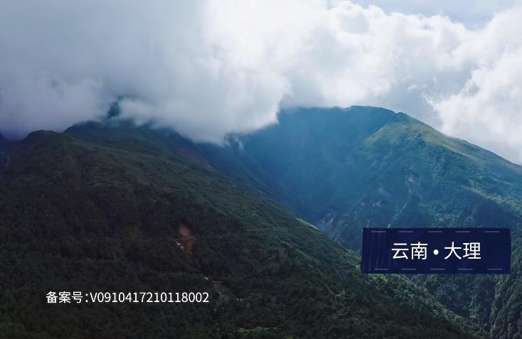 野生菌的毒是什么毒,野生菌属于毒品吗