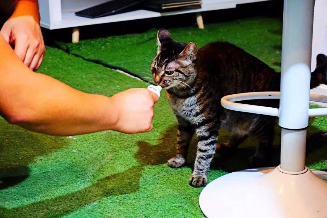 恒隆对面街店铺推荐,恒隆广场对面的甜品店