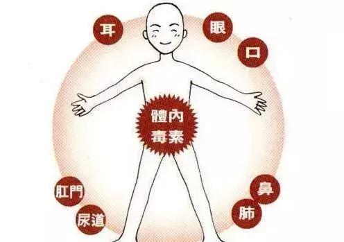 盲目的排毒毁掉了多少人,中国十大排毒误区