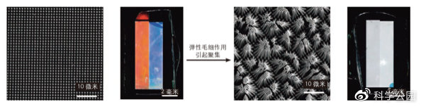 湿头发为什么看起来秃,头发一坨粘在一起怎么办