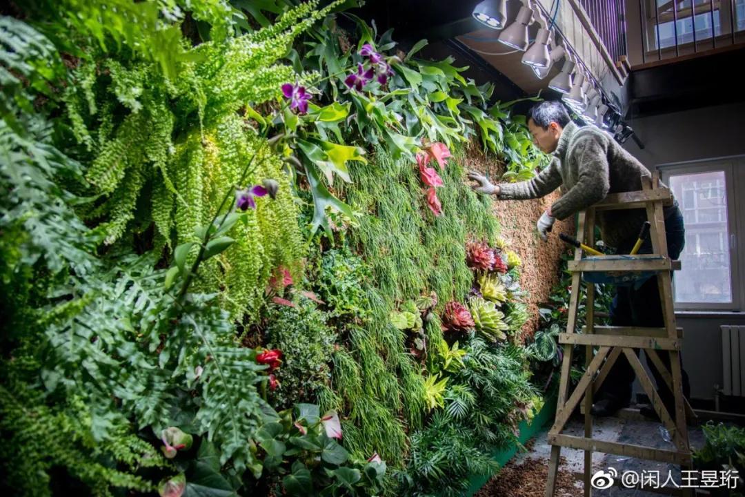 最强大脑王昱珩清华毕业后不上班,王昱珩上学经历