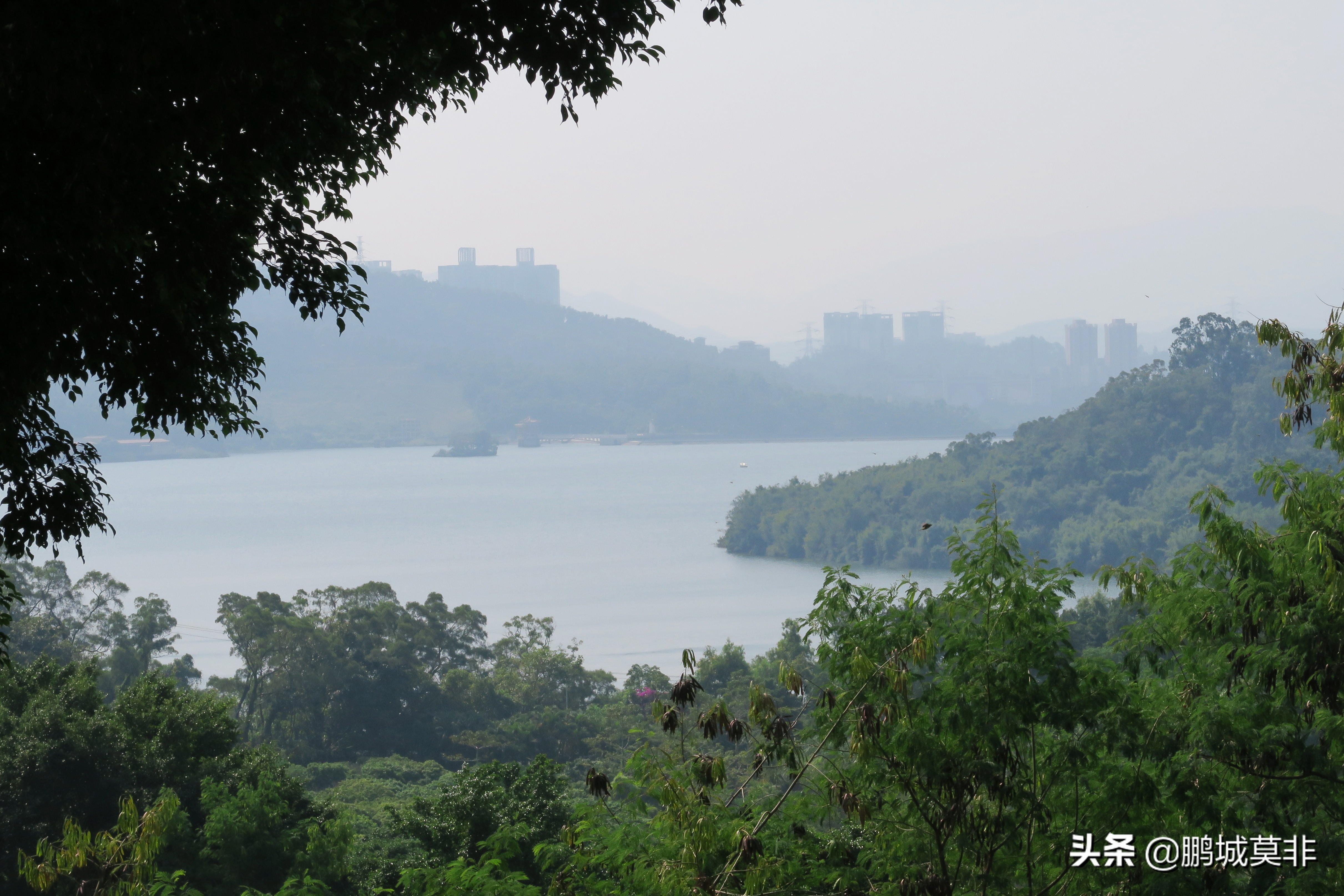 打卡深圳淘金山绿道,网红打卡地深圳流花山公园
