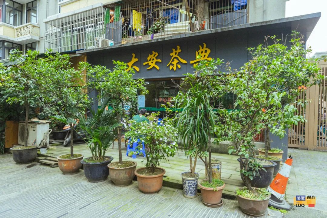 成都麻将一条街在什么地方,成都麻将一条街叫什么街