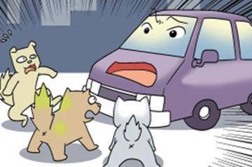 撞了狗逃逸不赔偿被起诉了怎么办,撞了一条狗算是肇事逃逸吗