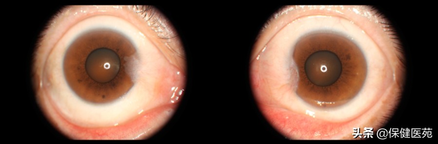 飞入云端的翅膀,飞入翅膀歌词