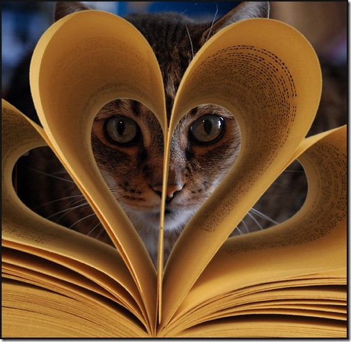 俄语单词速记3000基础词,俄语单词怎么背