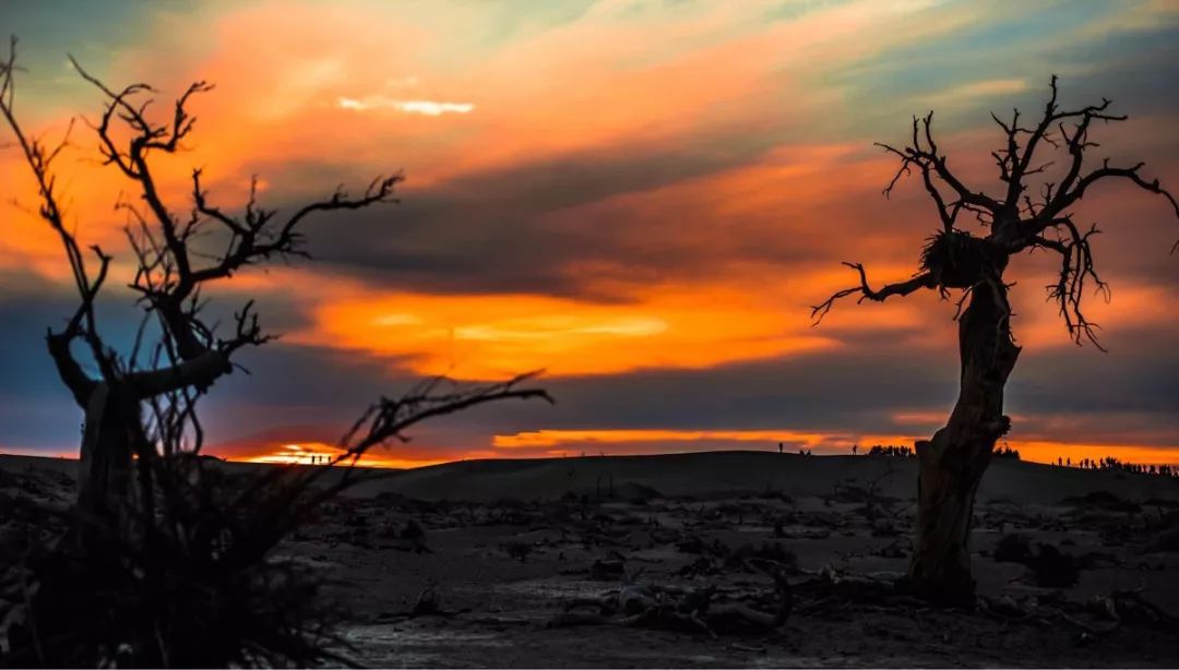 额济纳戈壁滩记录,额济纳戈壁滩沙漠