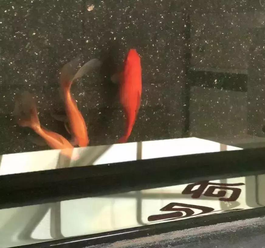 儿科好消息,四季青医院最新消息