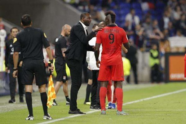 巴洛特利长大了,巴洛特利经历了什么