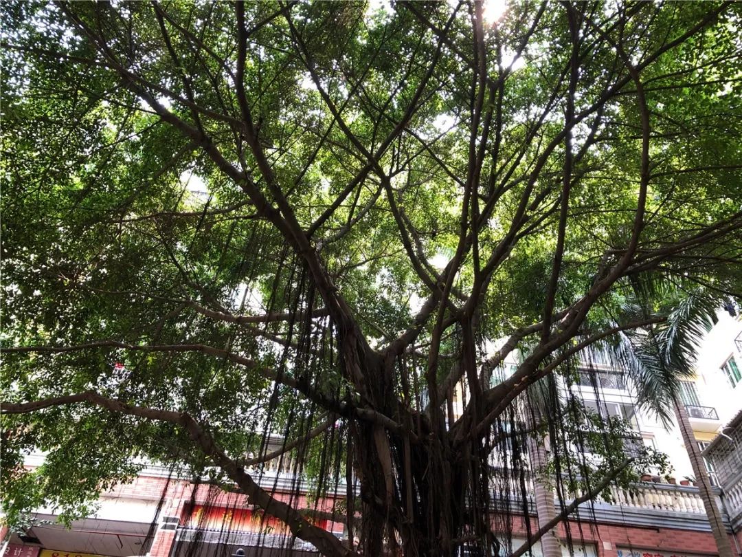 厦门10元店小商品最全批发市场,厦门最大的小商品批发市场在哪里