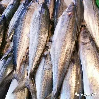 秦皇岛美食排行榜前十名海鲜,秦皇岛最好的海鲜自助餐厅排名榜