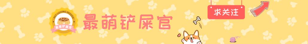 狗狗被下毒还能救回来吗,狗狗被下毒会有什么反应