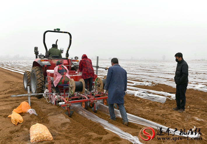 遂平褚堂办事处书记冯涛,遂平褚堂冯涛书记