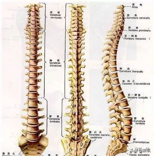 景甜减肥成功变回黑长直女神,景甜暴瘦