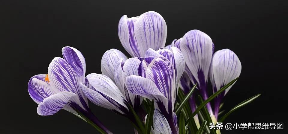 垃圾分类我最时尚优秀作文5篇,大学垃圾分类的作文