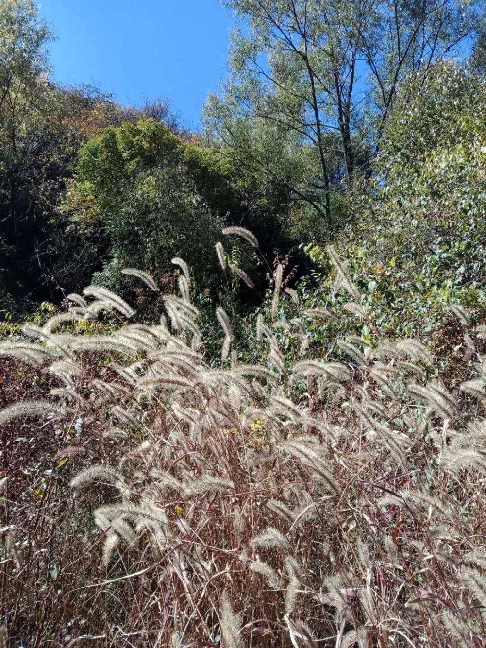 碧岩龙泉山庄,万柏林龙泉山庄