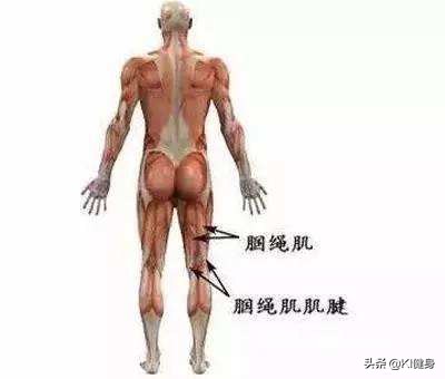 鑶濆叧鑺備几涓嶇洿鎬庝箞閿荤偧,鑶濆叧鑺備几涓嶅紑寮殑鍘熷洜