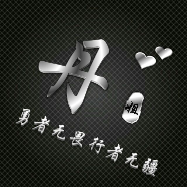 勇者无畏行者无疆姓氏头像,勇者无敌图片头像