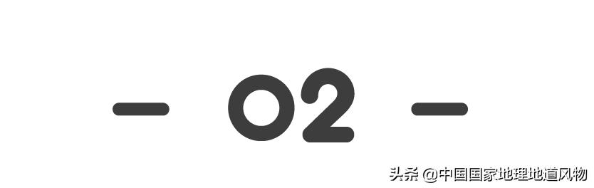 黑龙江和山东谁是农业大省,黑龙江和河南谁是第一粮仓