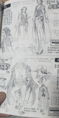 海贼王书籍推荐,海贼王怎么推荐新人看