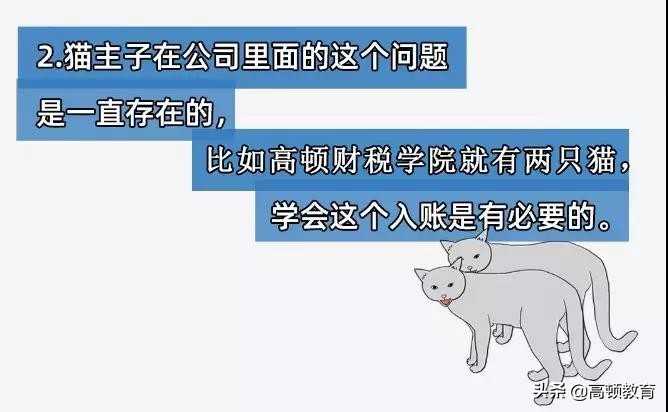 公司养了一只猫怎么记账,公司买的猫怎么入账