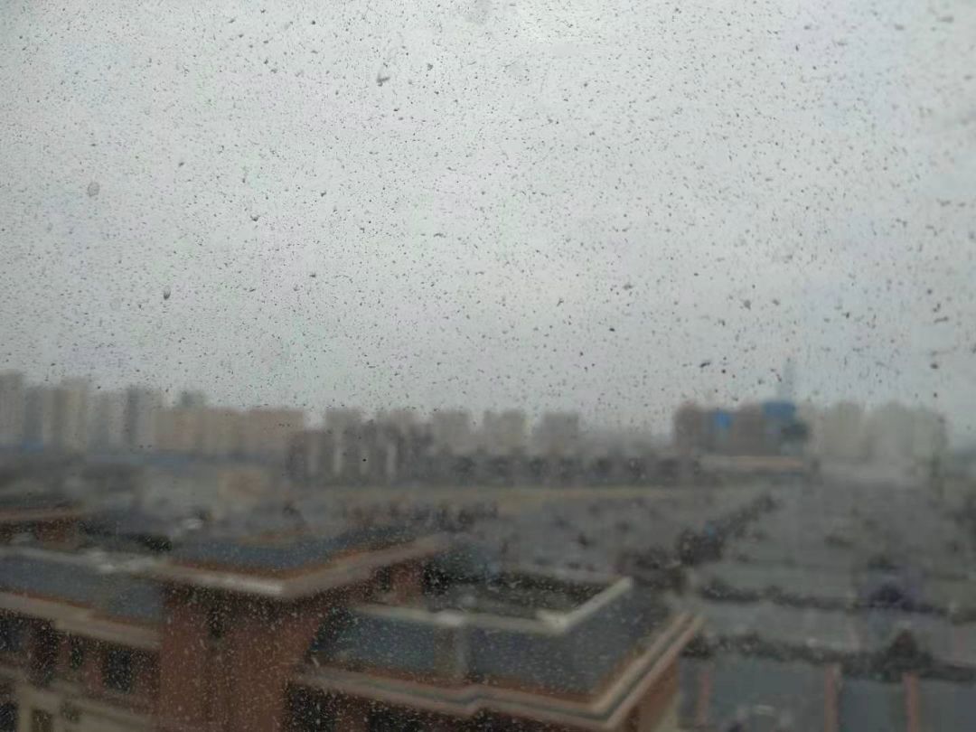 玻妞擦窗机器人七天免费试用,超薄擦窗机器人评测