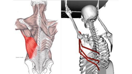 李佳琦和金靖谈减肥,金靖第二次上李佳琦直播间谈体重