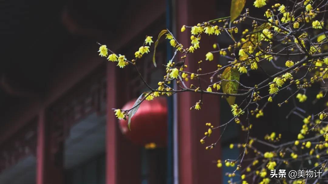 有冬要来有雪入怀泣不成声,有冬要来有雨入怀
