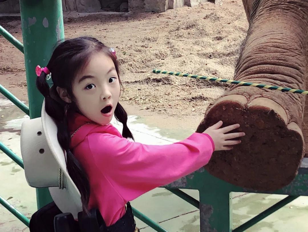 大熊猫百科知识详细介绍,大熊猫前脚有几只手指