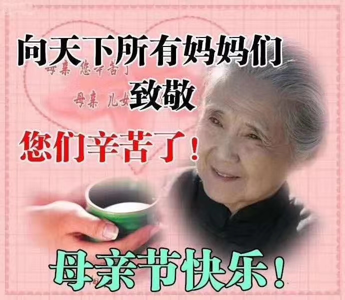 母亲节一束康乃馨,母亲节里的康乃馨图片