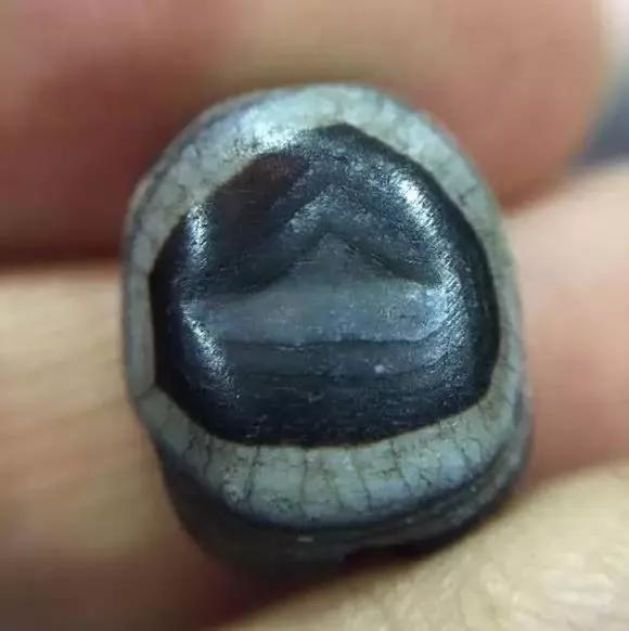 你的是不是老珠子,自己心里没点X数吗?