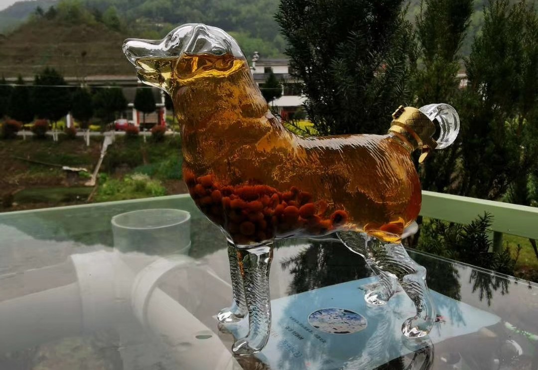 红豆杉果能煮水喝吗,红豆杉果子可以泡醋吗