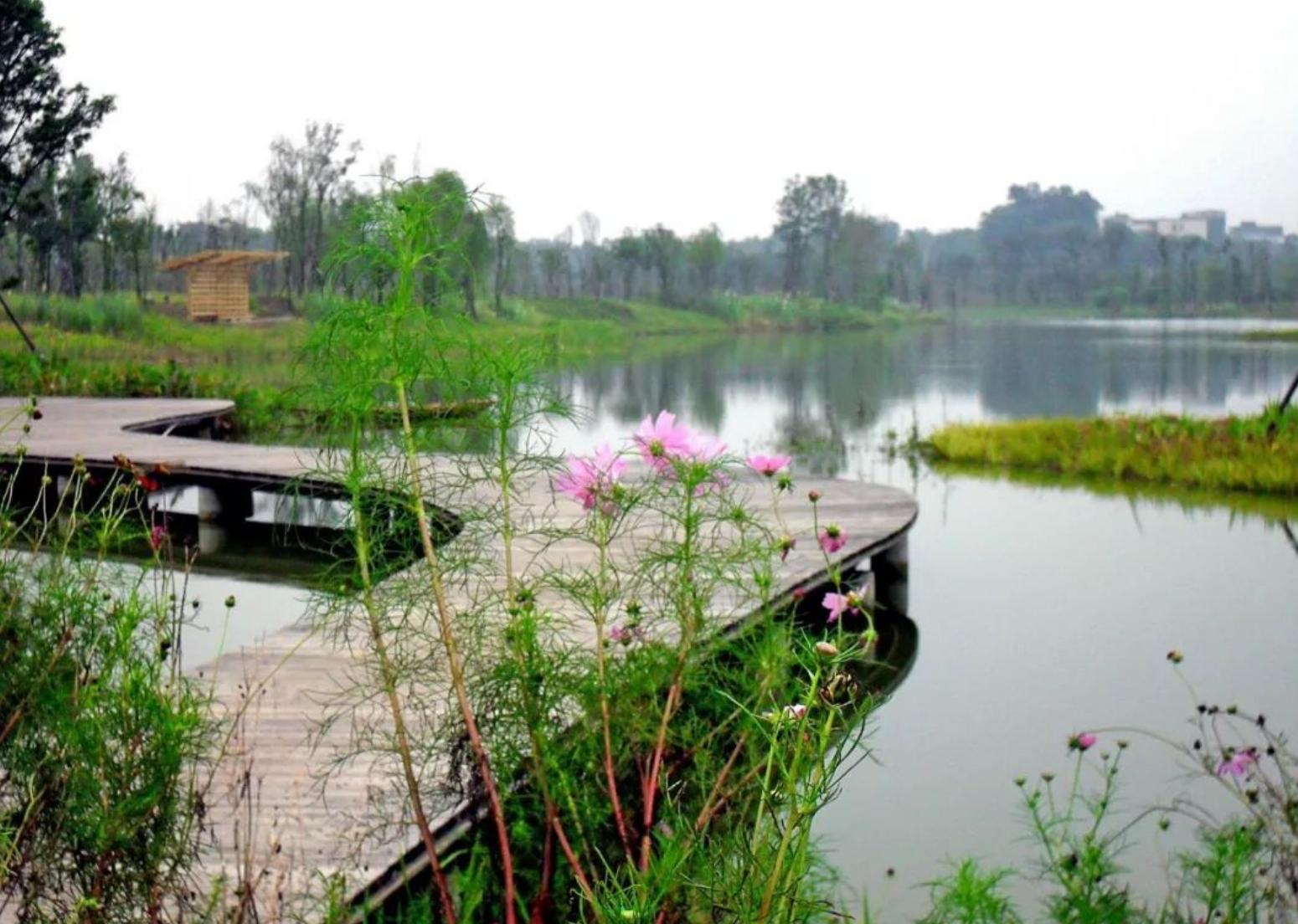 成都适合休闲放松的公园,成都休闲娱乐好去处免费