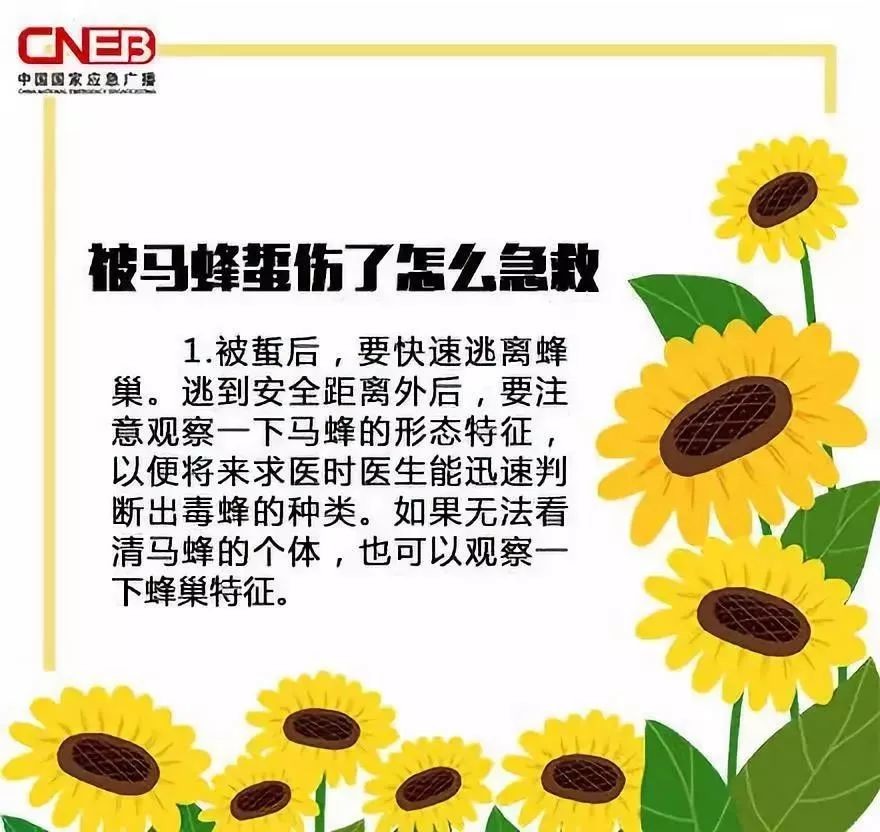 被马蜂蛰过敏性休克的急救措施,儿童被马蜂蛰了看不到毒刺