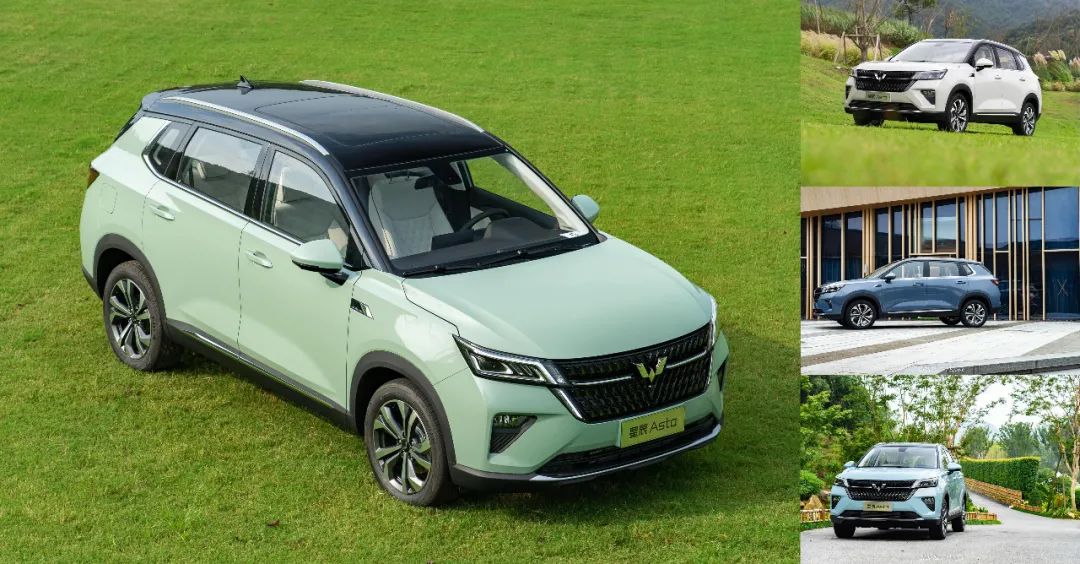 爸爸都称好,谁还敢说五菱配不上周迅?