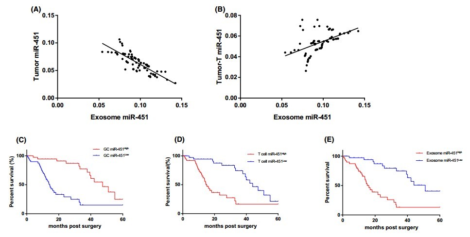 解放军359医院学者发现miR-451可以作为胃癌预后不良的指标