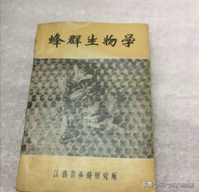 养蜂要懂的技术技巧有哪些,养蜂达到高产诱蜂最快方法