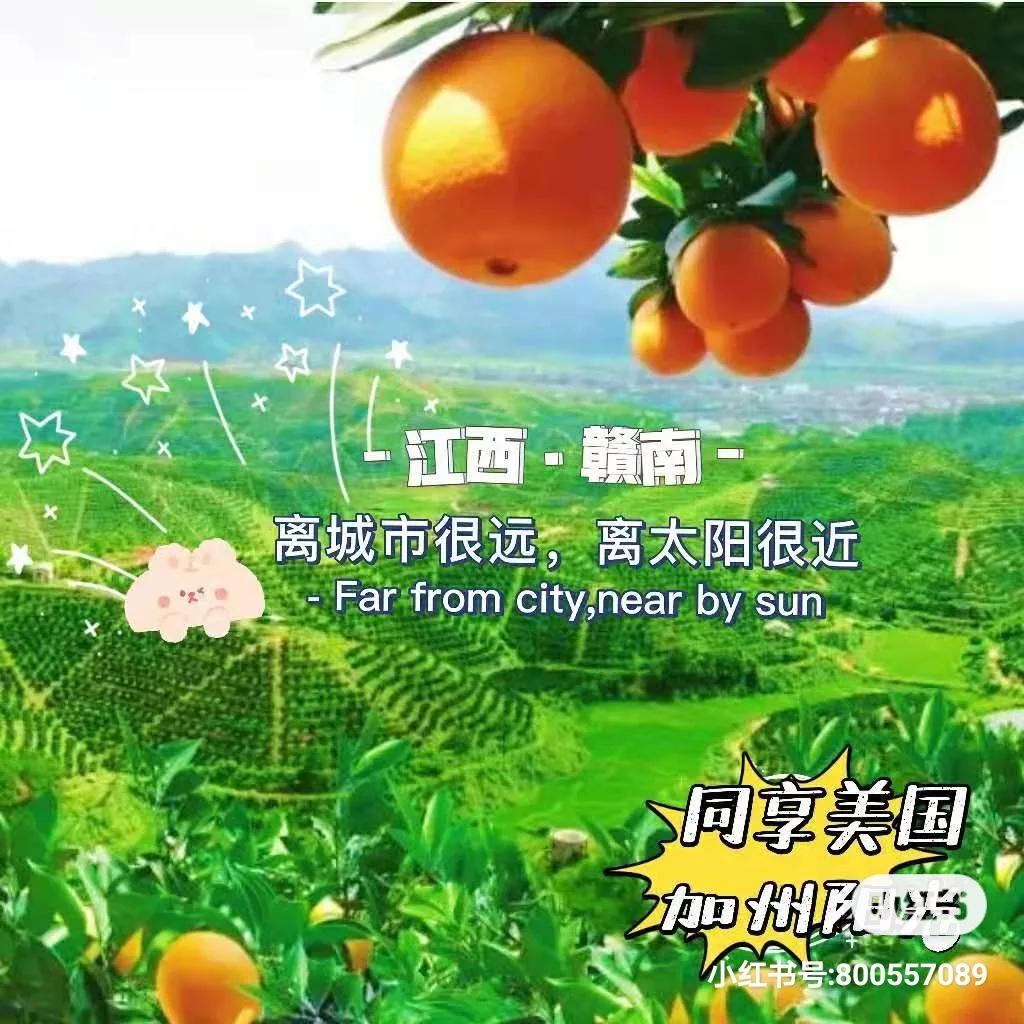 离城市很近离太阳很远,离城市很远离太阳很近的城市