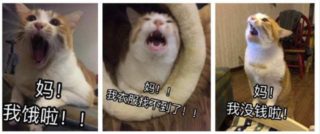 推荐送给妈妈的护肤品,推荐给妈妈的化妆品