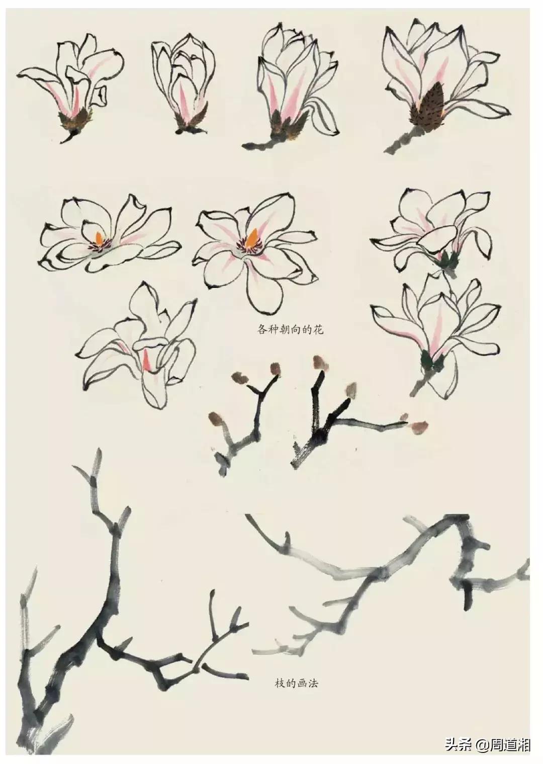 国画花卉大全教程视频,花卉小品国画图片大全