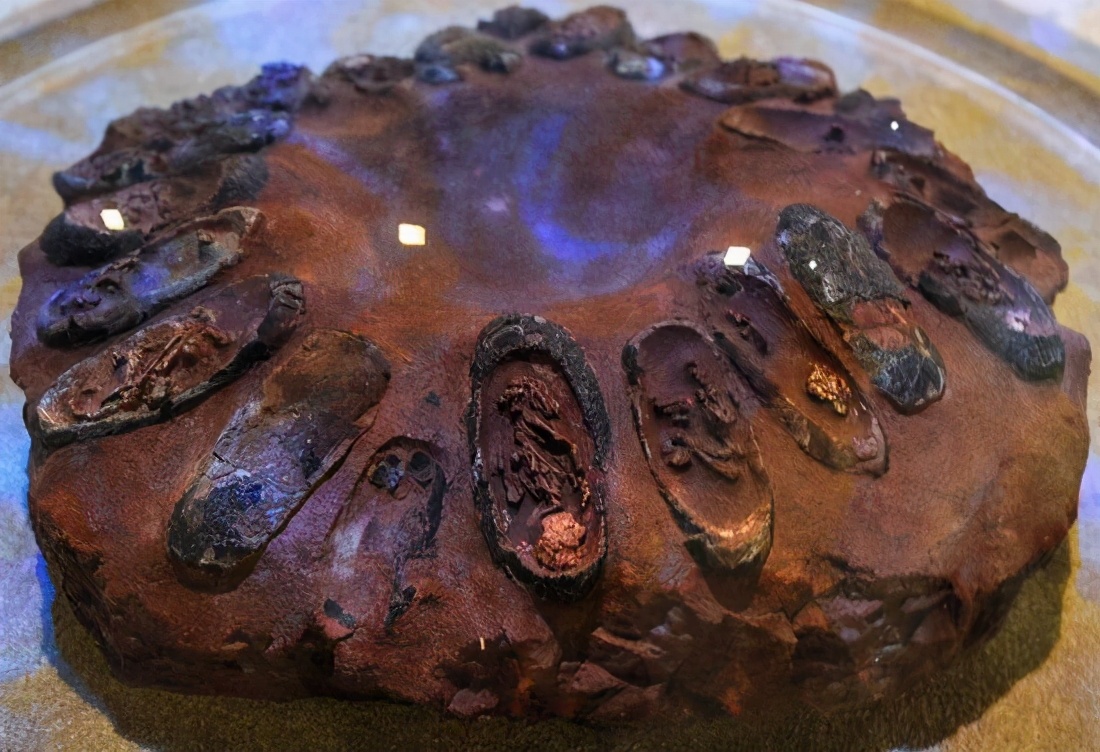 我国发现奇异福建龙化石在哪里,云南发现奇异罗平龙化石