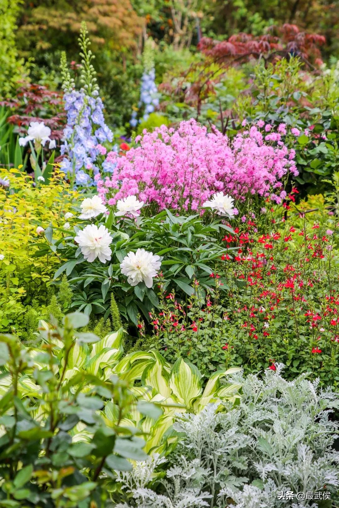超便宜！成都铁轨下的花市5元买回一个春天！