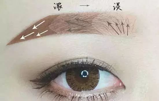 每种脸型适合的眉形图片,不同脸型设计眉形的技巧和方法