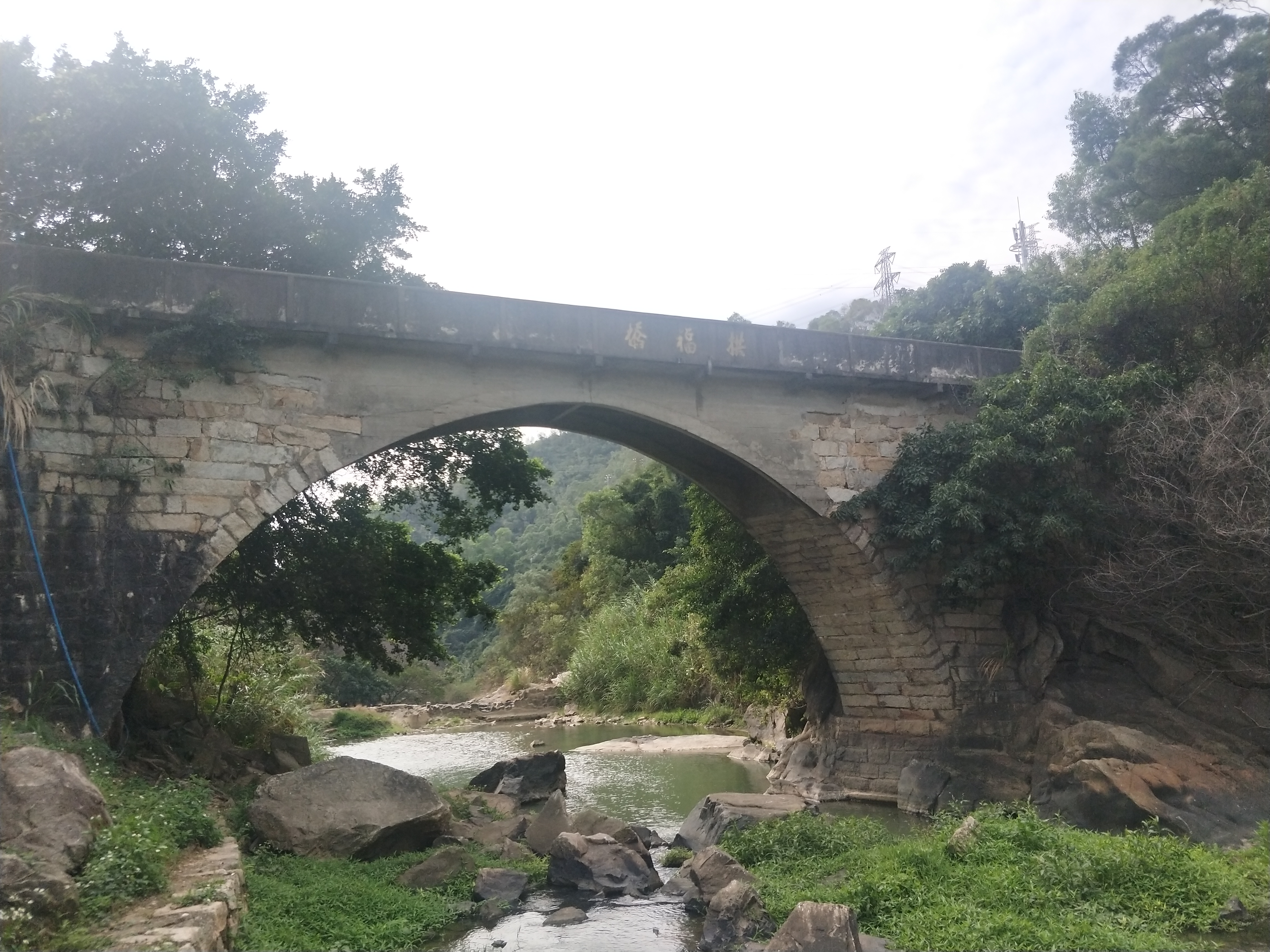 时代湾区丨沙鱼涌的前世今生